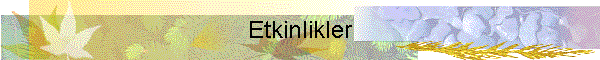 Etkinlikler