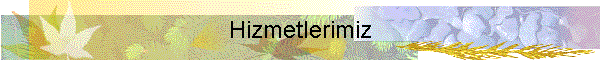 Hizmetlerimiz