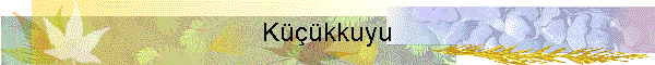 K???kkuyu