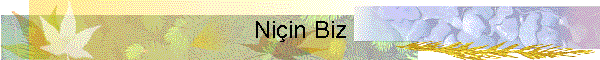 Ni?in Biz