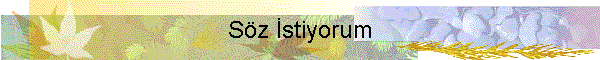 S?z ?stiyorum